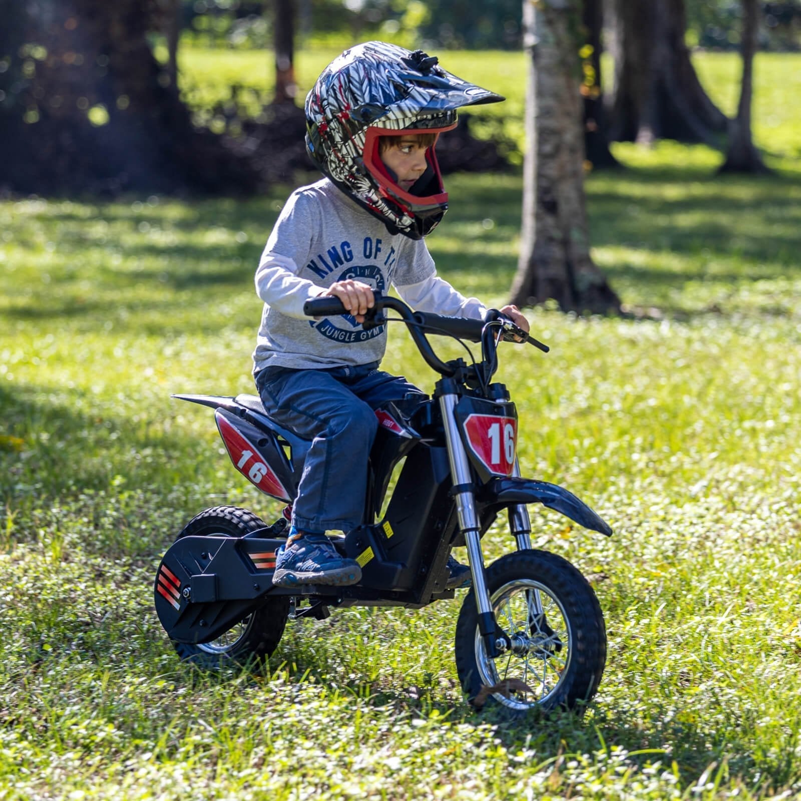 Local Pick Up Hiboy DK1 Refurbished Electric Dirt Bike